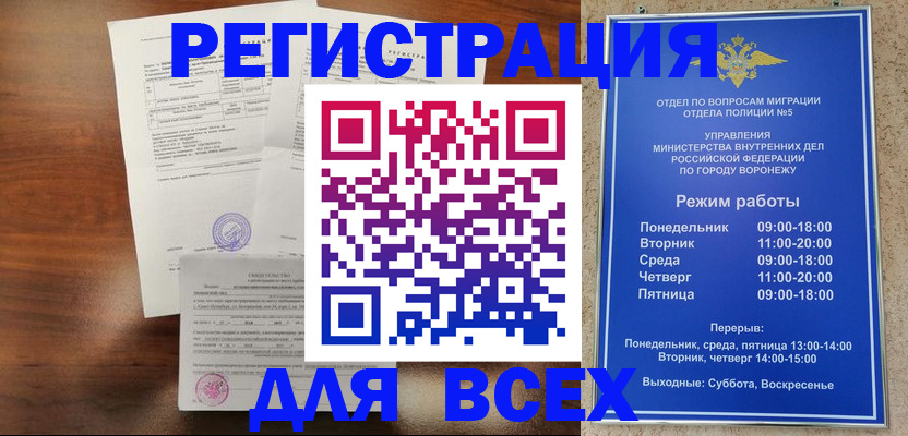 прописка поиск в Кингисеппе