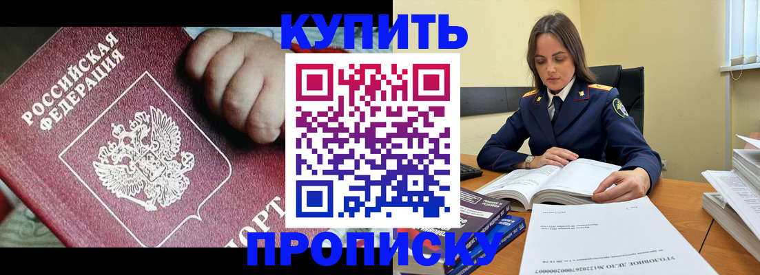 прописка поиск в Кингисеппе